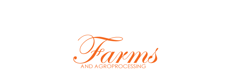 manini text logo white